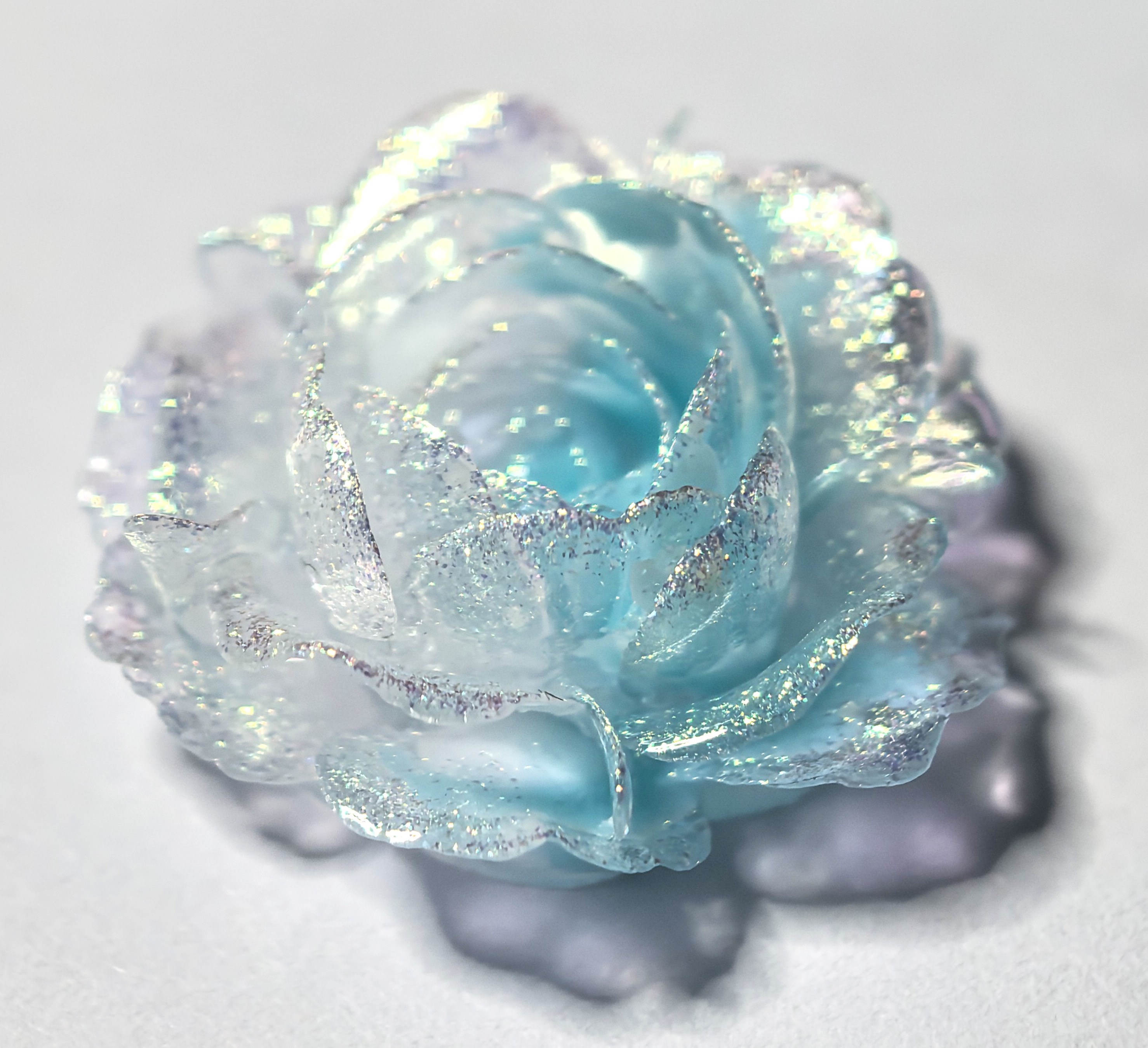 卡28洛阳牡丹