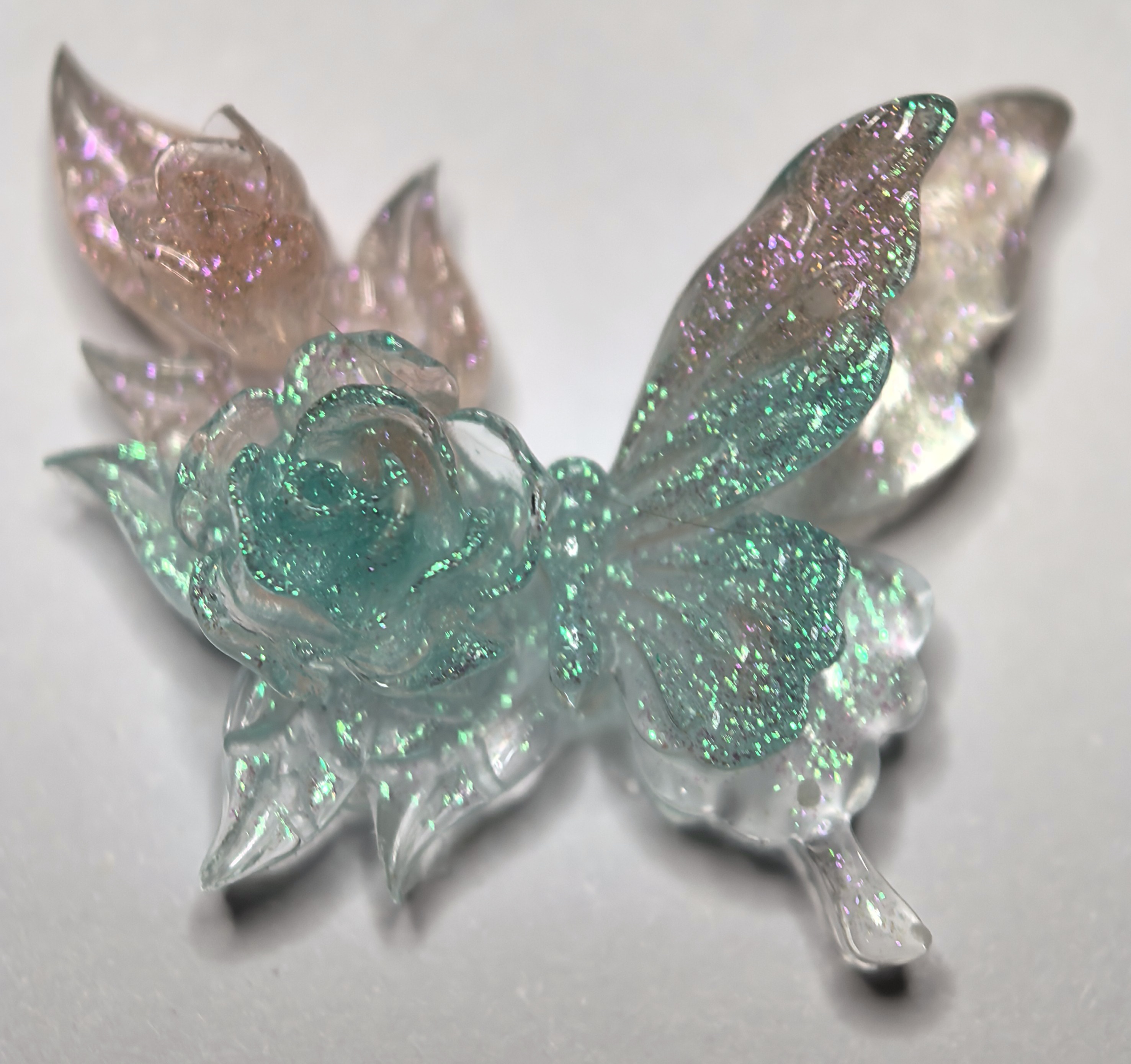 卡27双花缀翼蝶