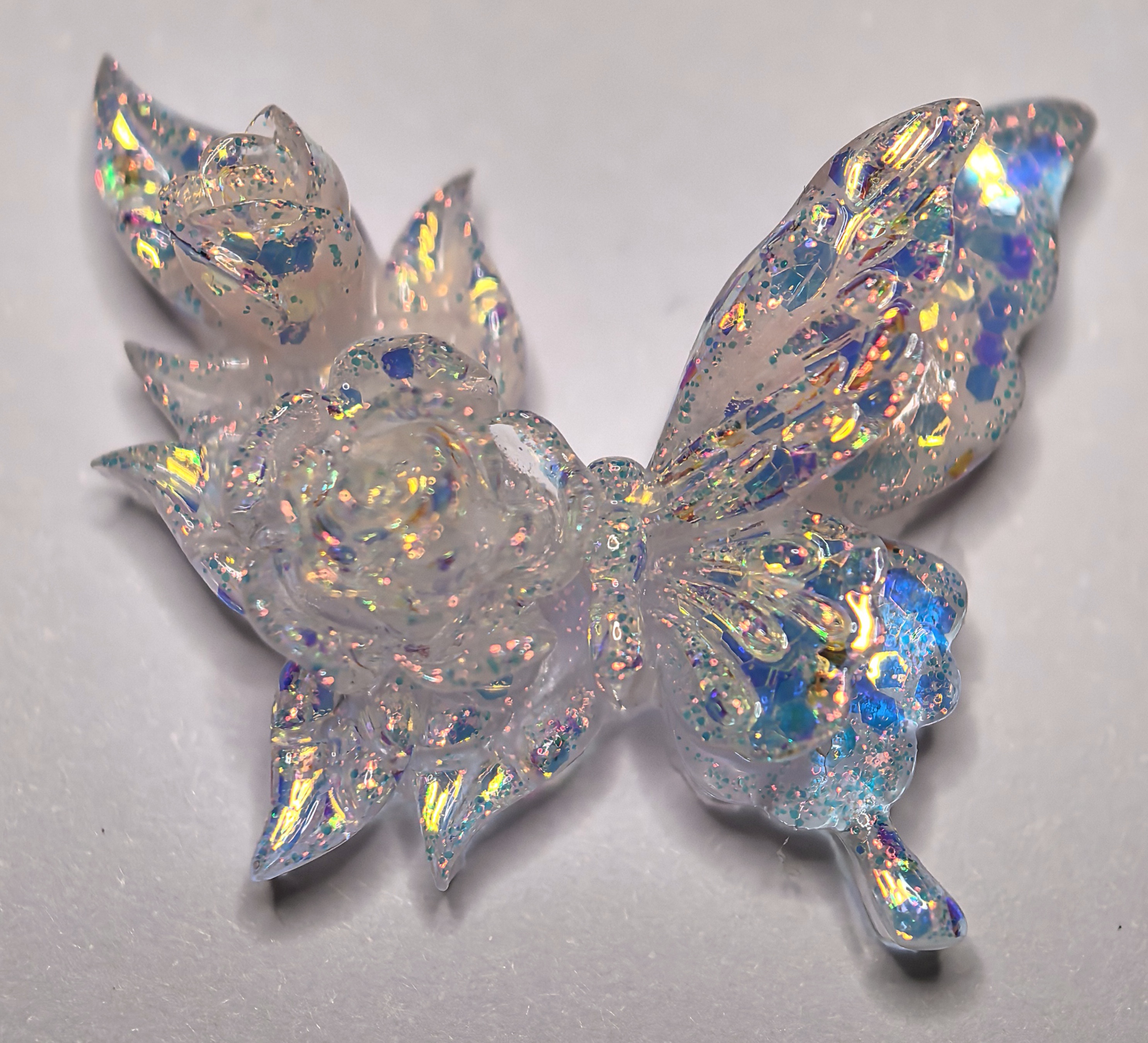 卡27双花缀翼蝶