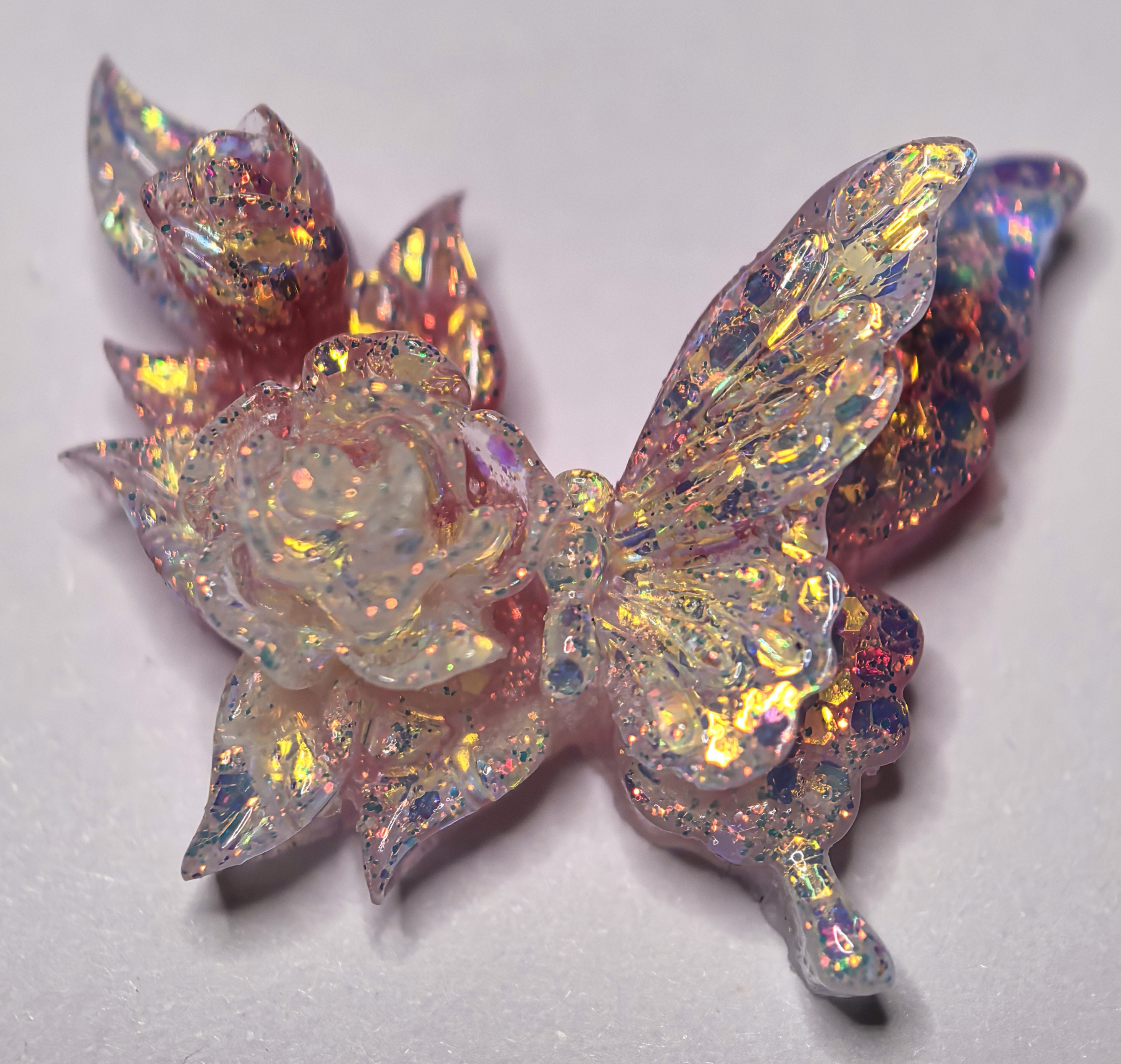 卡27双花缀翼蝶