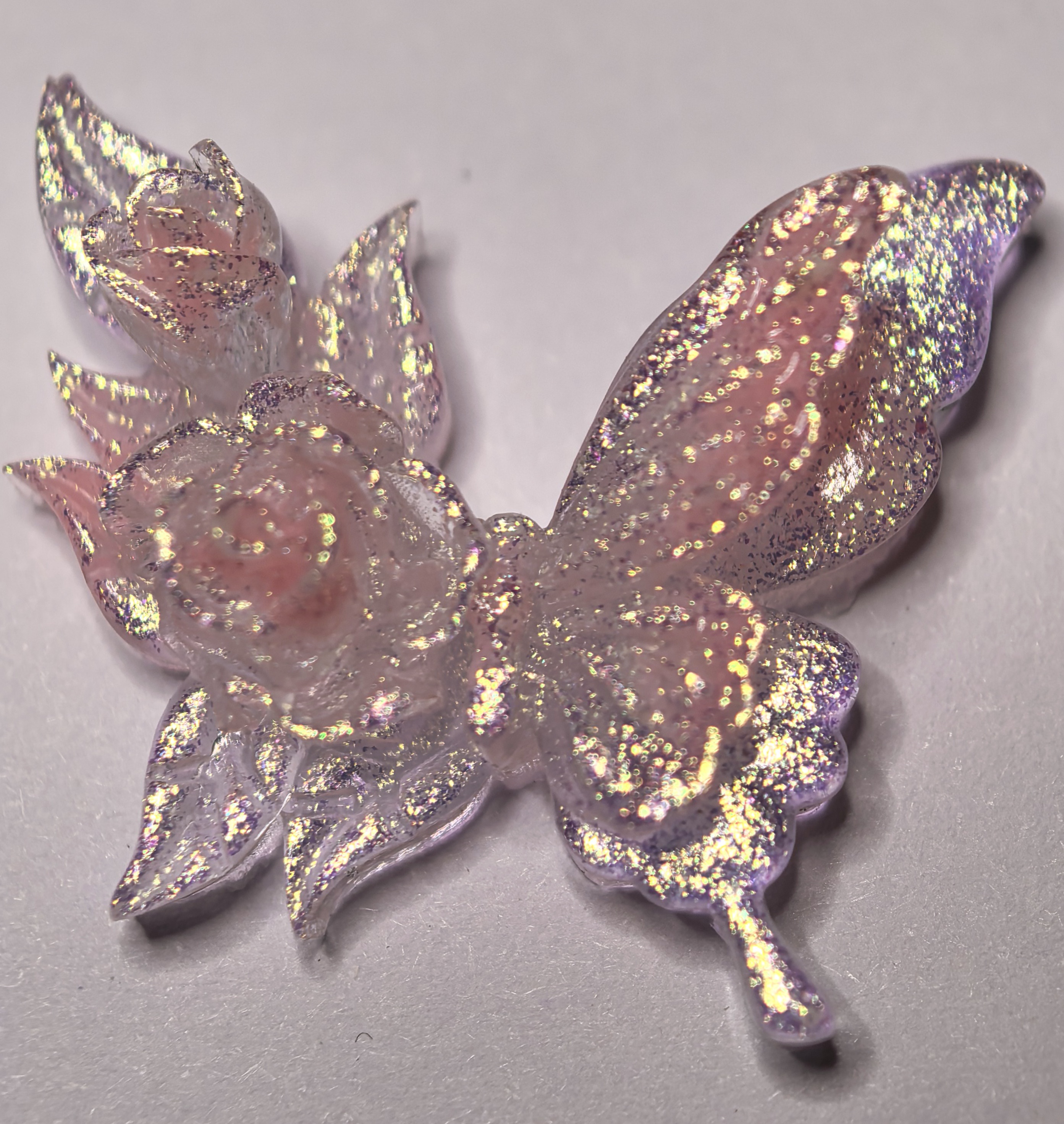 卡27双花缀翼蝶
