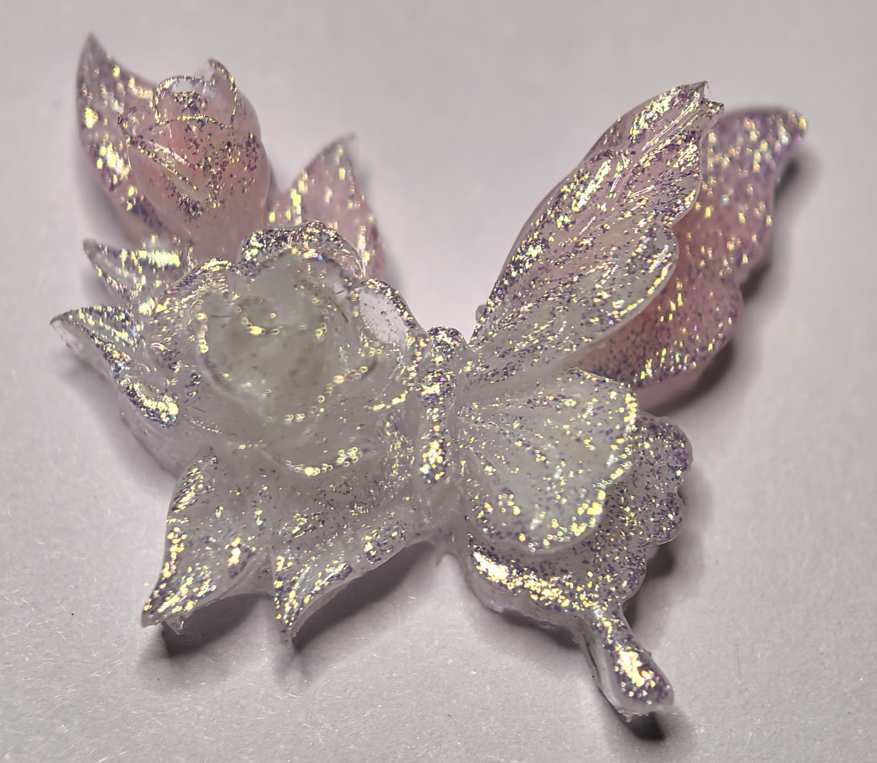 卡27双花缀翼蝶