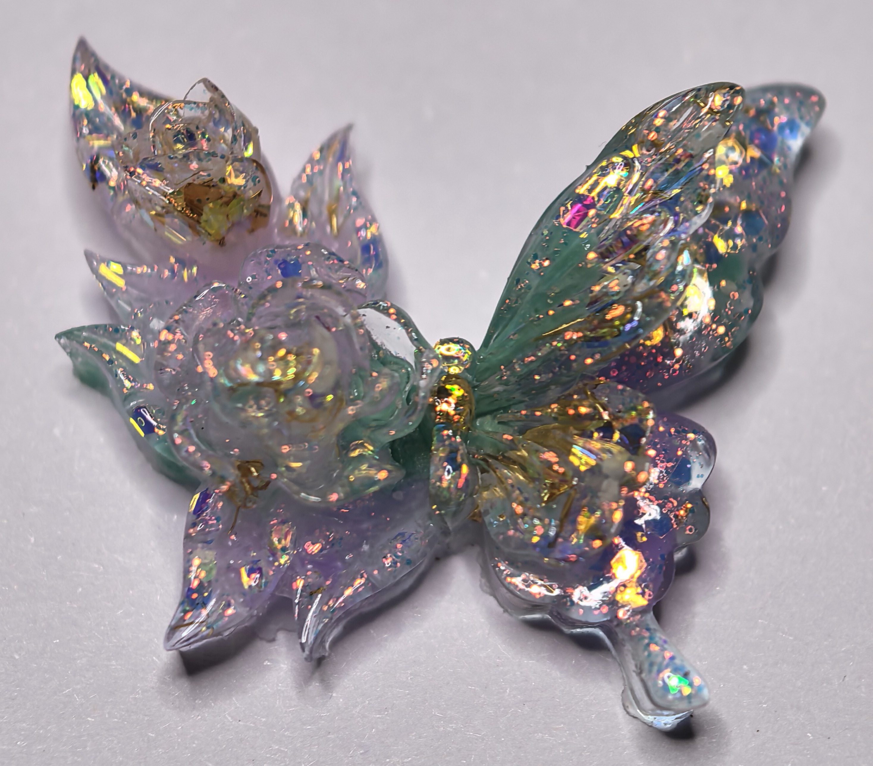 卡27双花缀翼蝶