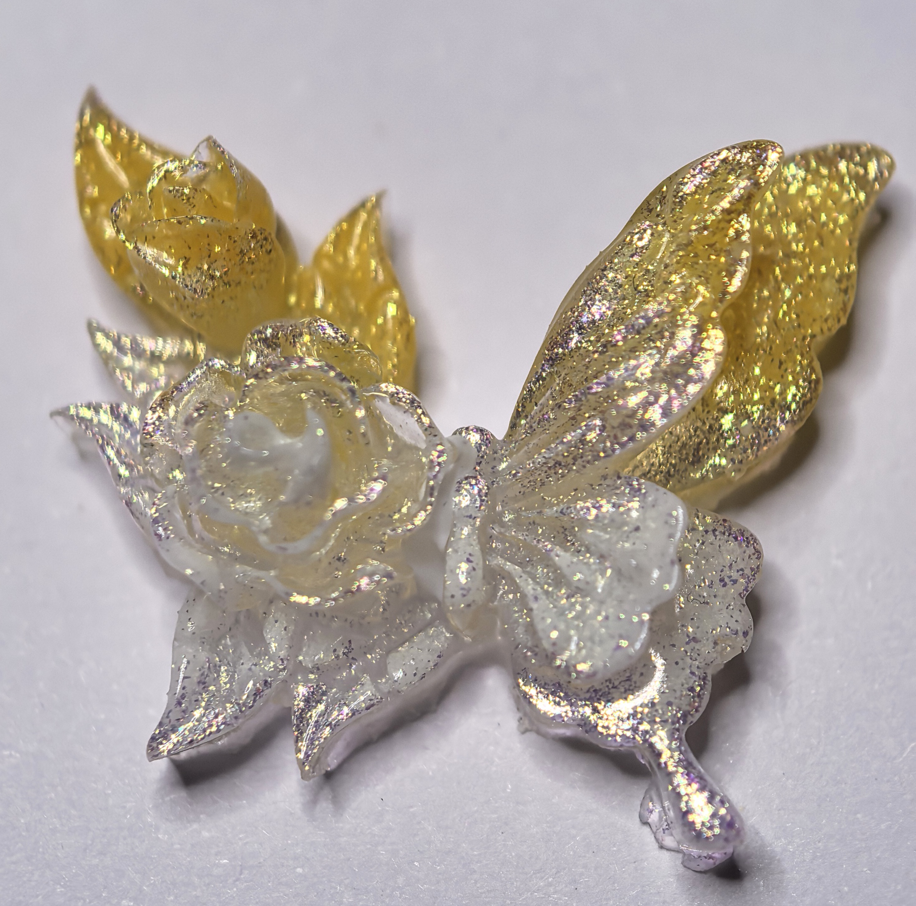 卡27双花缀翼蝶
