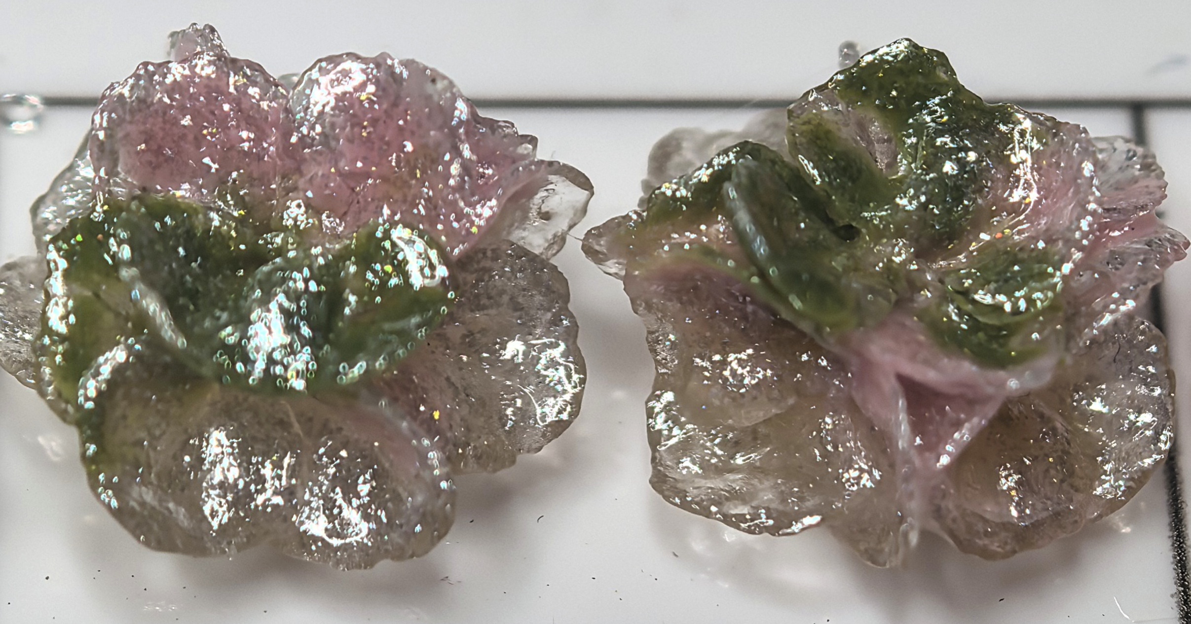 绣球花