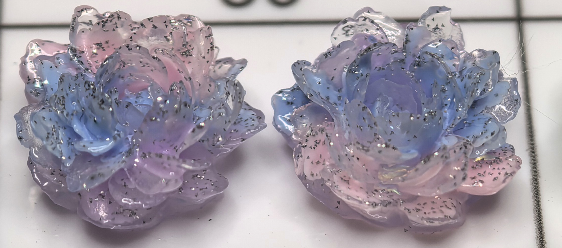 大牡丹