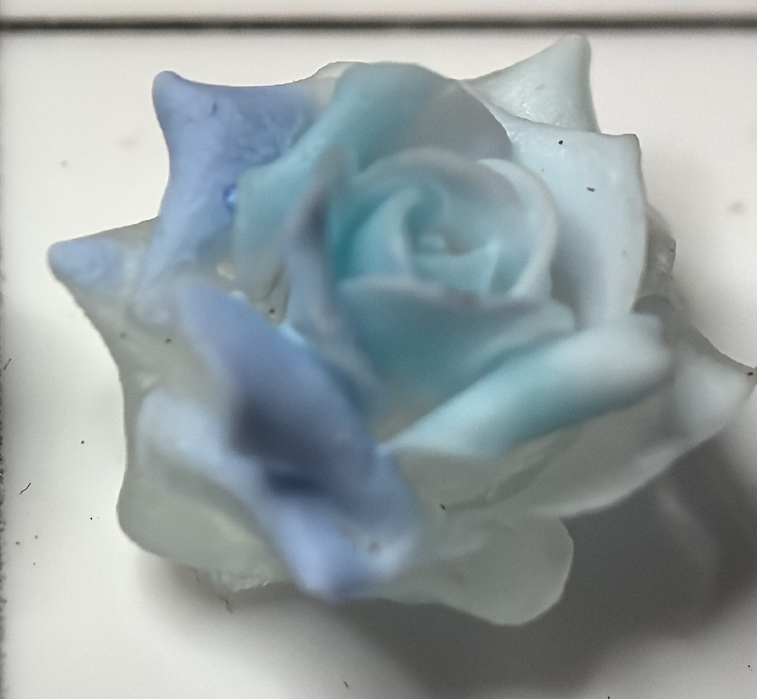 手搓玫瑰